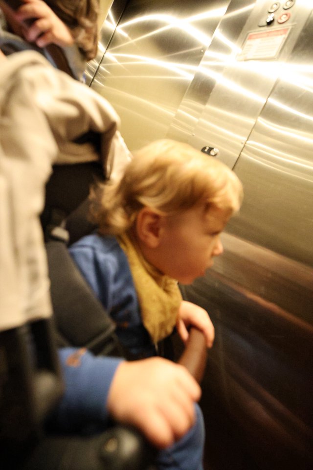 Child in Elevator with Adult Companion