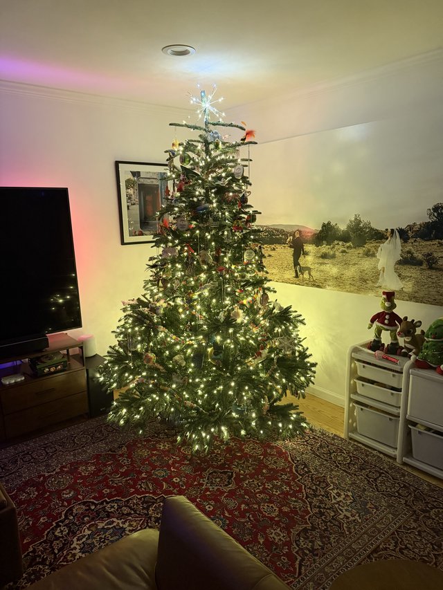 Illuminated Christmas Tree in Modern Living Room