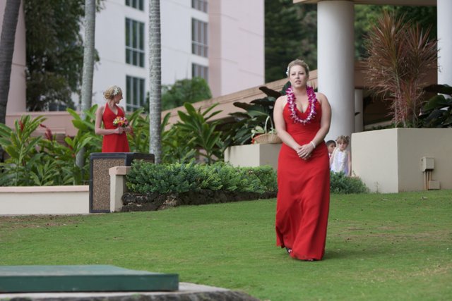 Red Carpet in the Hawaiian Lawn