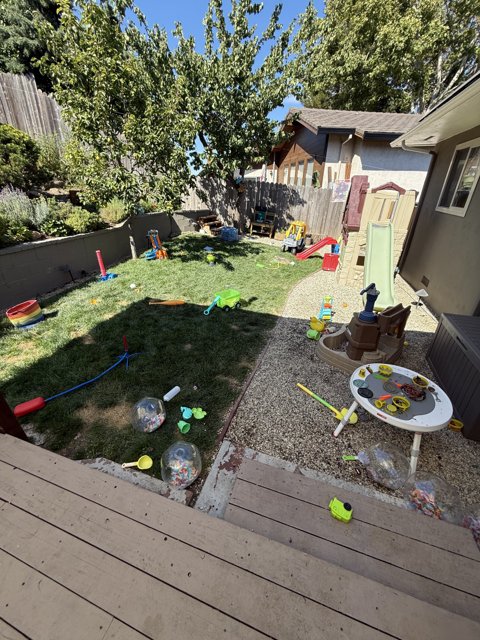 Backyard Adventure
