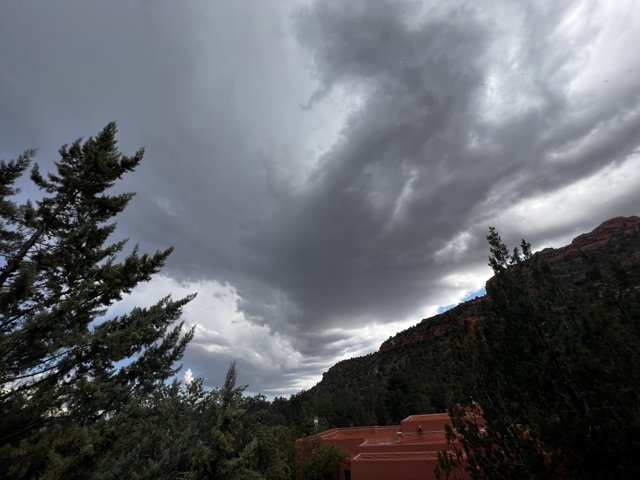 Majestic Conifers against the Stormy Sedona Sky