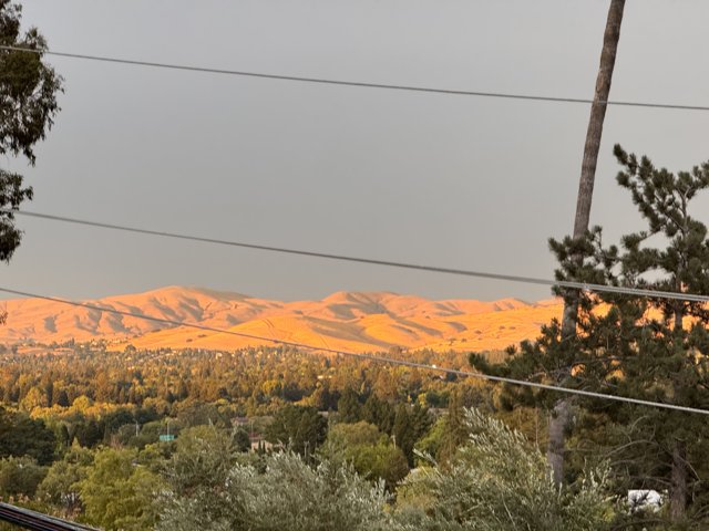 Golden Hour in the Hills