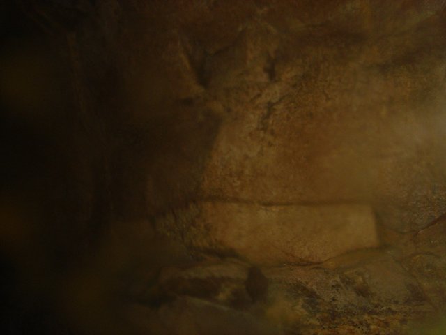 Bear taking a break in the cave