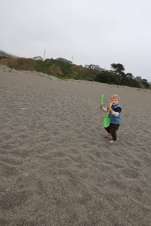 Toddler Explores Foggy Beach with Green Shovel