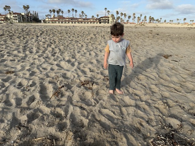 Stroll on the Sands