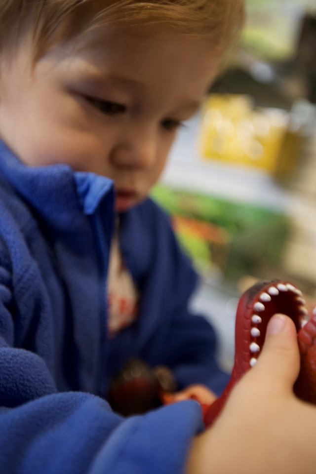 Child Learning Dental Health with Tooth Model