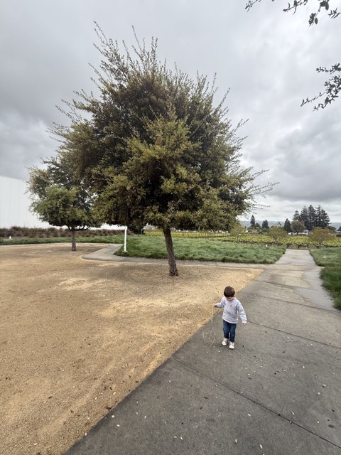 Exploring Under the Cloudy Skies