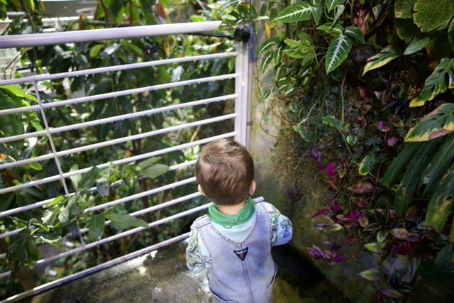 Boy Meets Botany: A Greenhouse Adventure