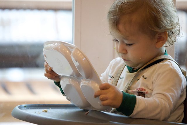 Toddler Exploring Mealtime Independence with Divided Plate