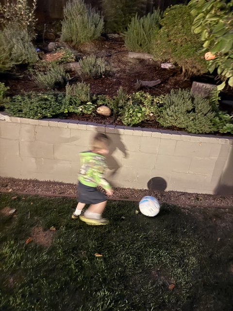 Backyard Playtime