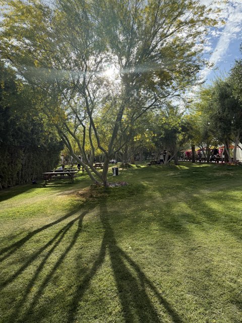 Tranquil Afternoon at Empire Polo Club