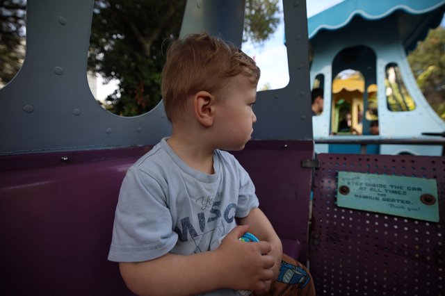 Young Boy Enjoying a Carousel Ride at Fantasyland