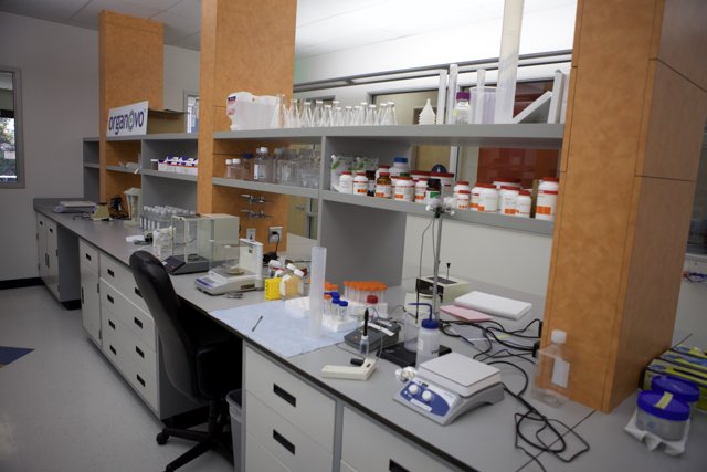 A Well-Stocked Lab Room