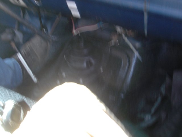 Inside the Engine Compartment