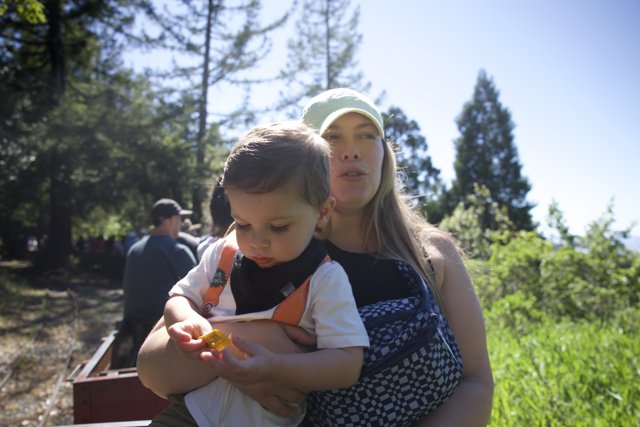 A Sunny Day at Walnut Creek