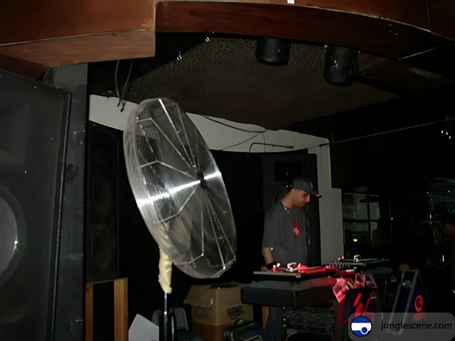 DJ Entertainer in Action