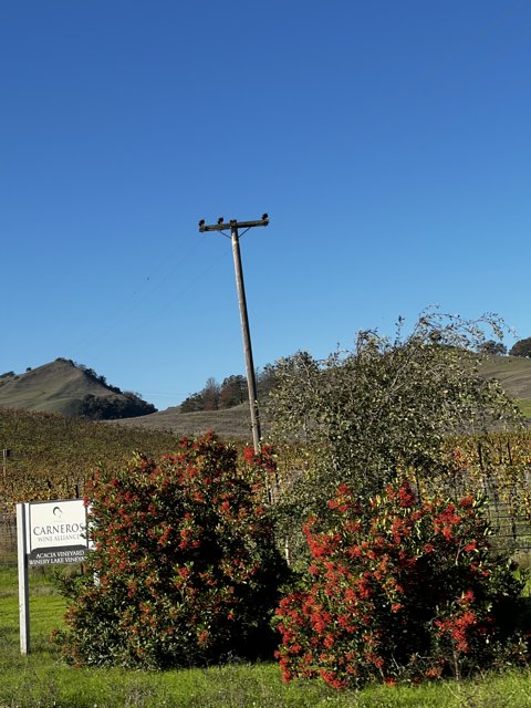 Rural Utility Pole