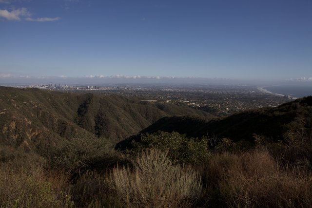Cityscape from the Temescal Canyon Hilltop