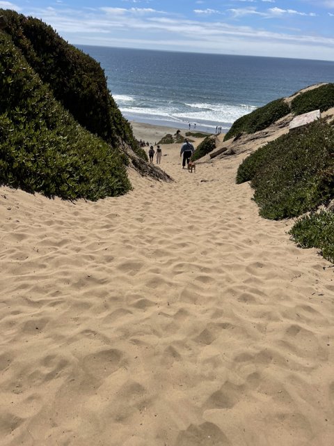 Scaling the Fort Funston Dunes