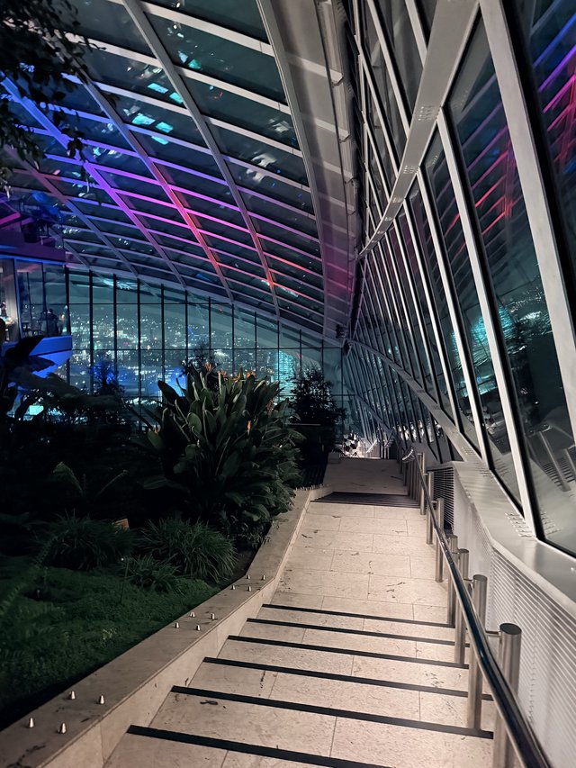 Modern Sky Garden Terrace with Dramatic Purple Lighting