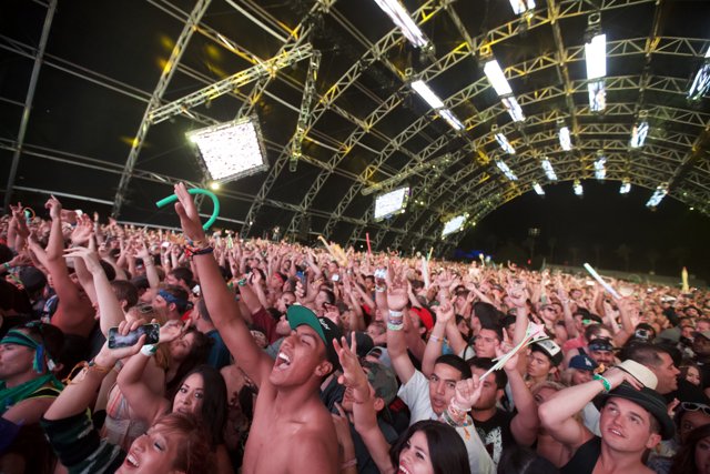 Music Fans Unite at Coachella