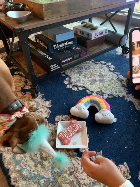 Tablet Time on the Living Room Rug