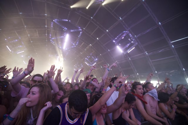 Coachella Chronicles: Hands Up in the Crowd