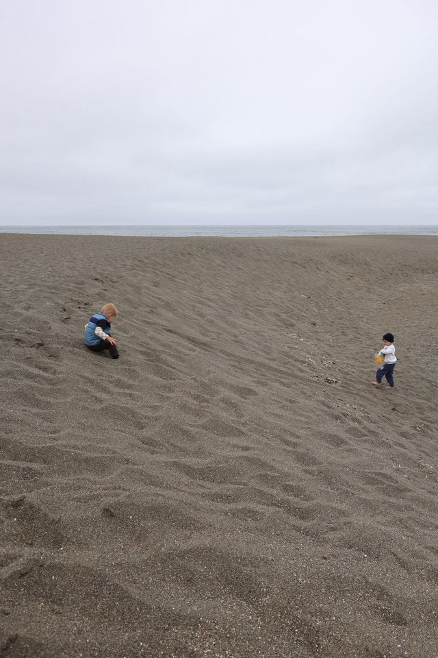 Two Young Children Exploring a Vast Sandy Beach