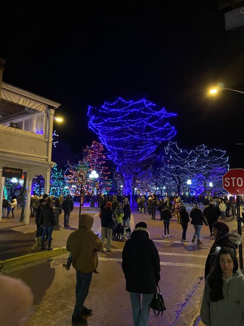 Nighttime Stroll Through Santa Fe Plaza