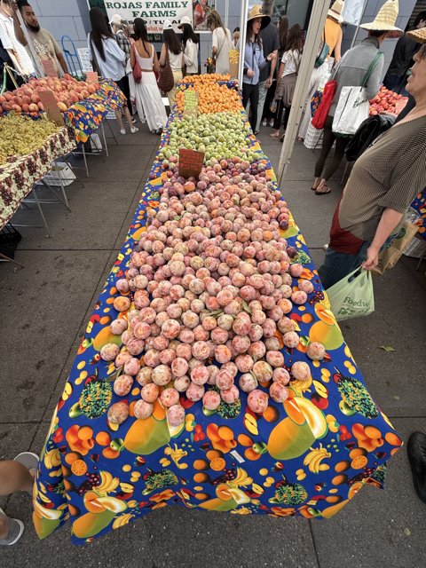 Vibrant Flavors at the Ferry Building