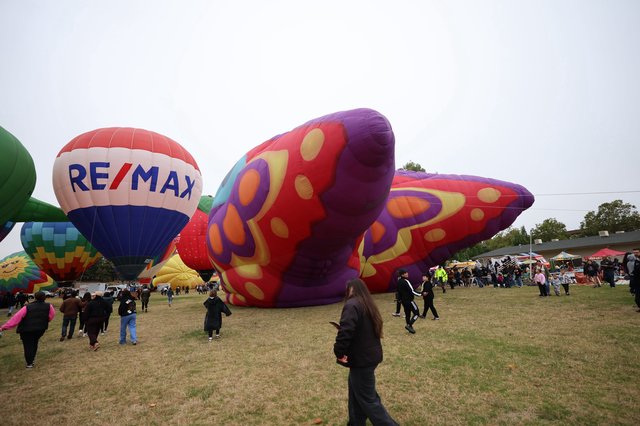 Colorful Hot Air Balloons at Sonoma County Classic