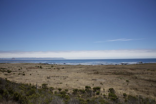Coastal Serenity