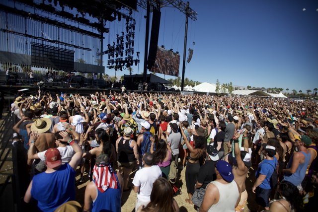 Coachella 2012: Music Festival Madness