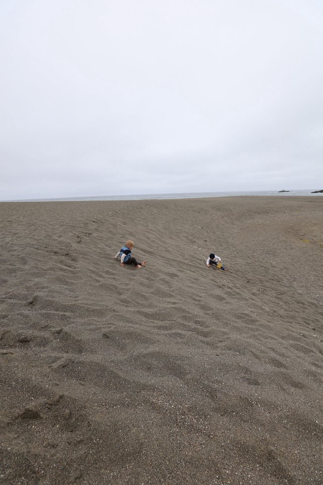 Two Young Children Playing on a Vast Sandy Beach