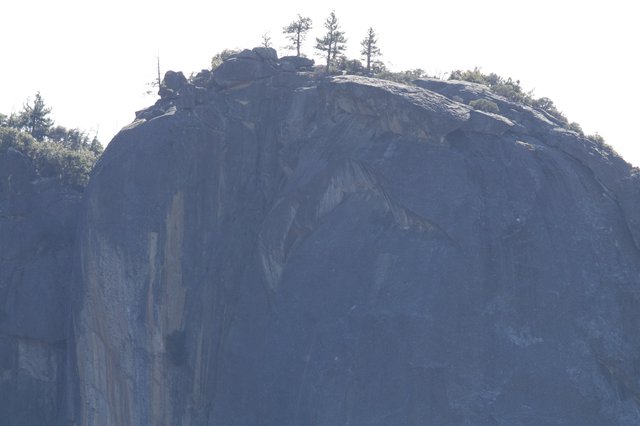 Granite Dome Summit with Pines at Yosemite
