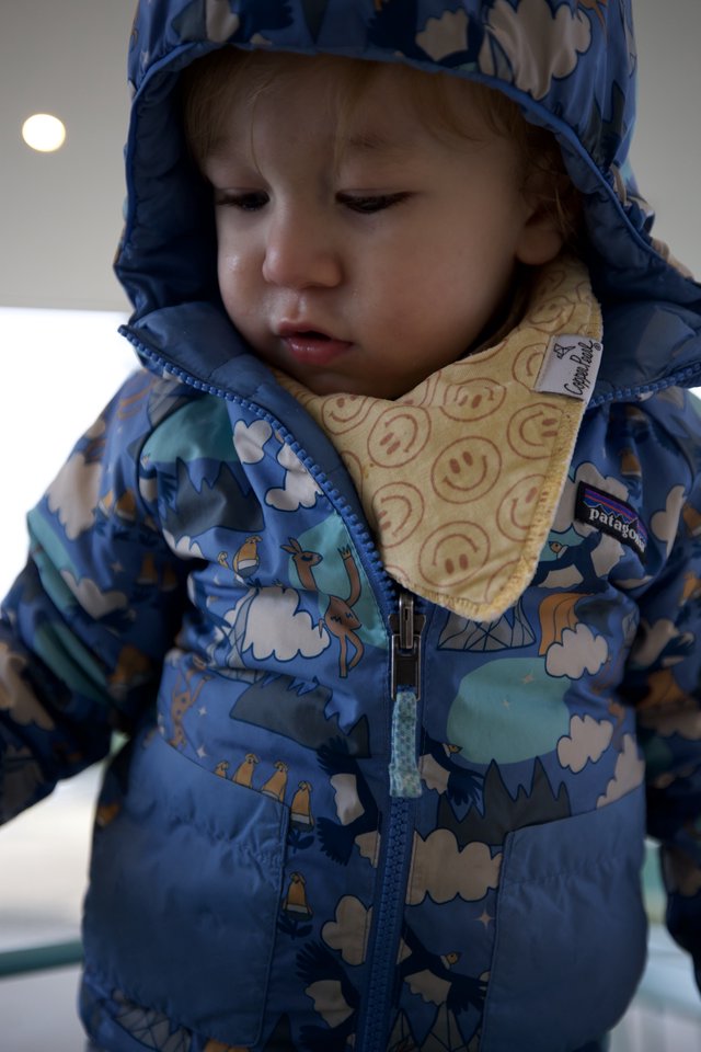 Young Child in Blue Patterned Winter Jacket