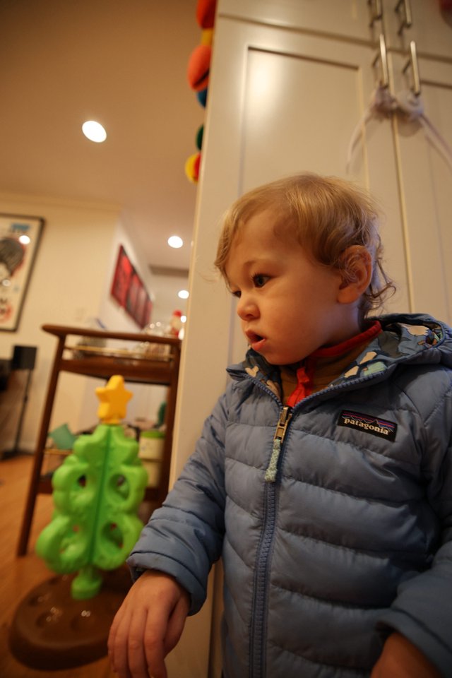 Toddler in Patagonia Jacket Gazing at Green Toy