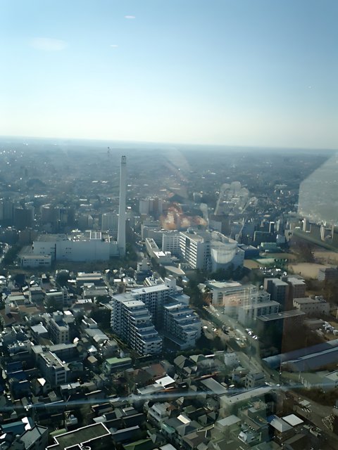 Overlooking Tokyo's Metropolis