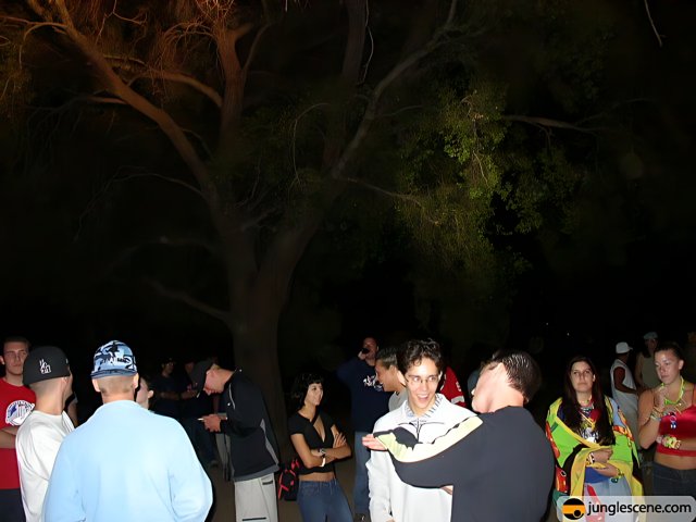 Nighttime Gathering Under the Tree