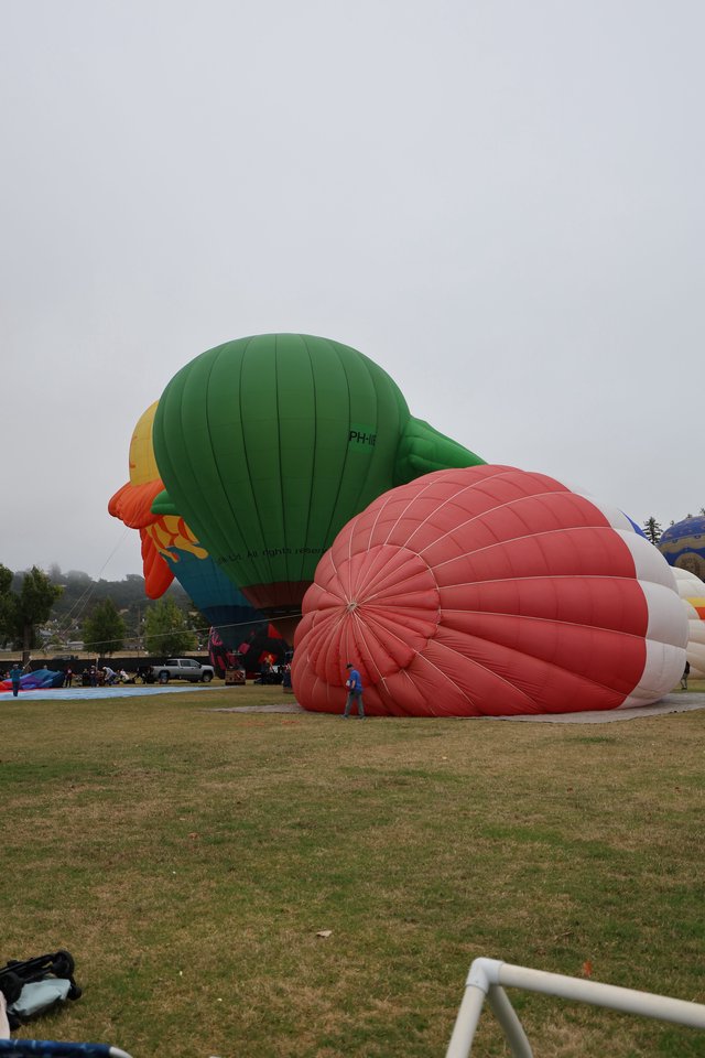 Hot Air Balloons Inflating at Sonoma County Classic