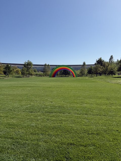 Vibrance in the Meadow