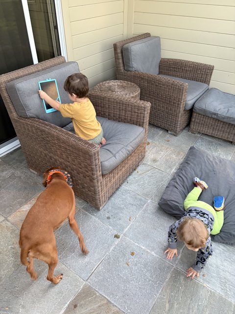 Afternoon Playtime in Carmel