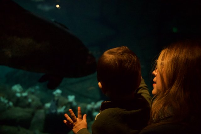 Marveling at Sea Life: A Mother and Child Experience
