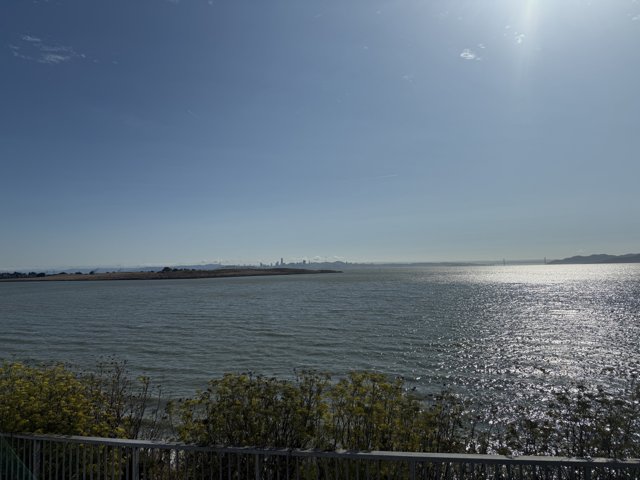 Tranquil Waters of Berkeley