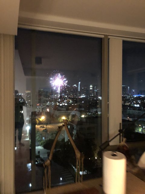 Fireworks from the Cityscape