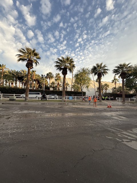 Urban Oasis at Dusk