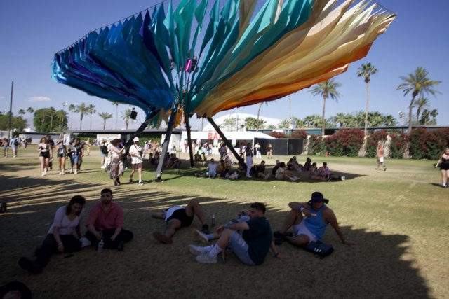 Colorful Canopy and Festival Vibes at Coachella 2024