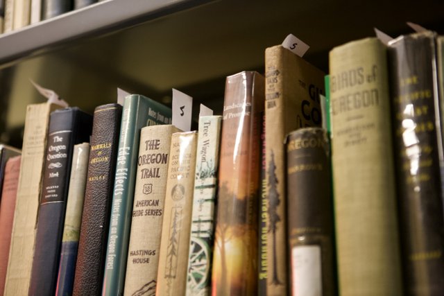 A Serene View of Books in the Archive Hall