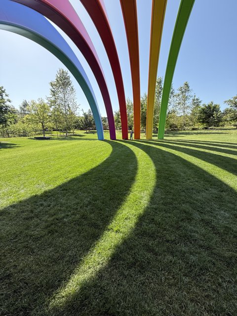 Curves of Color in Cupertino