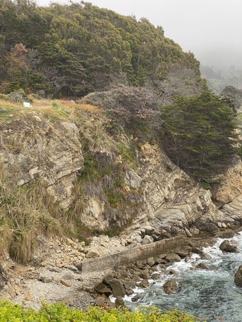 Misty Cliffside Serenity